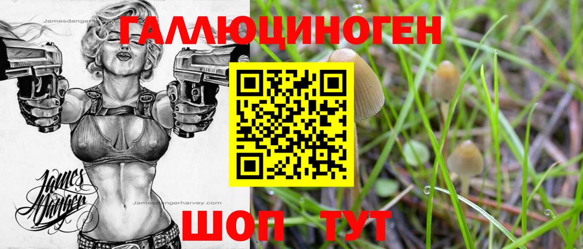 Псилоцибиновые грибы GOLDEN TEACHER  Вход с VPN  Знаменск 