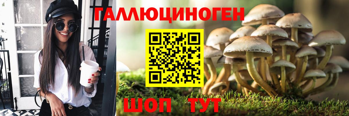 Галлюциногенные грибы мицелий Знаменск
